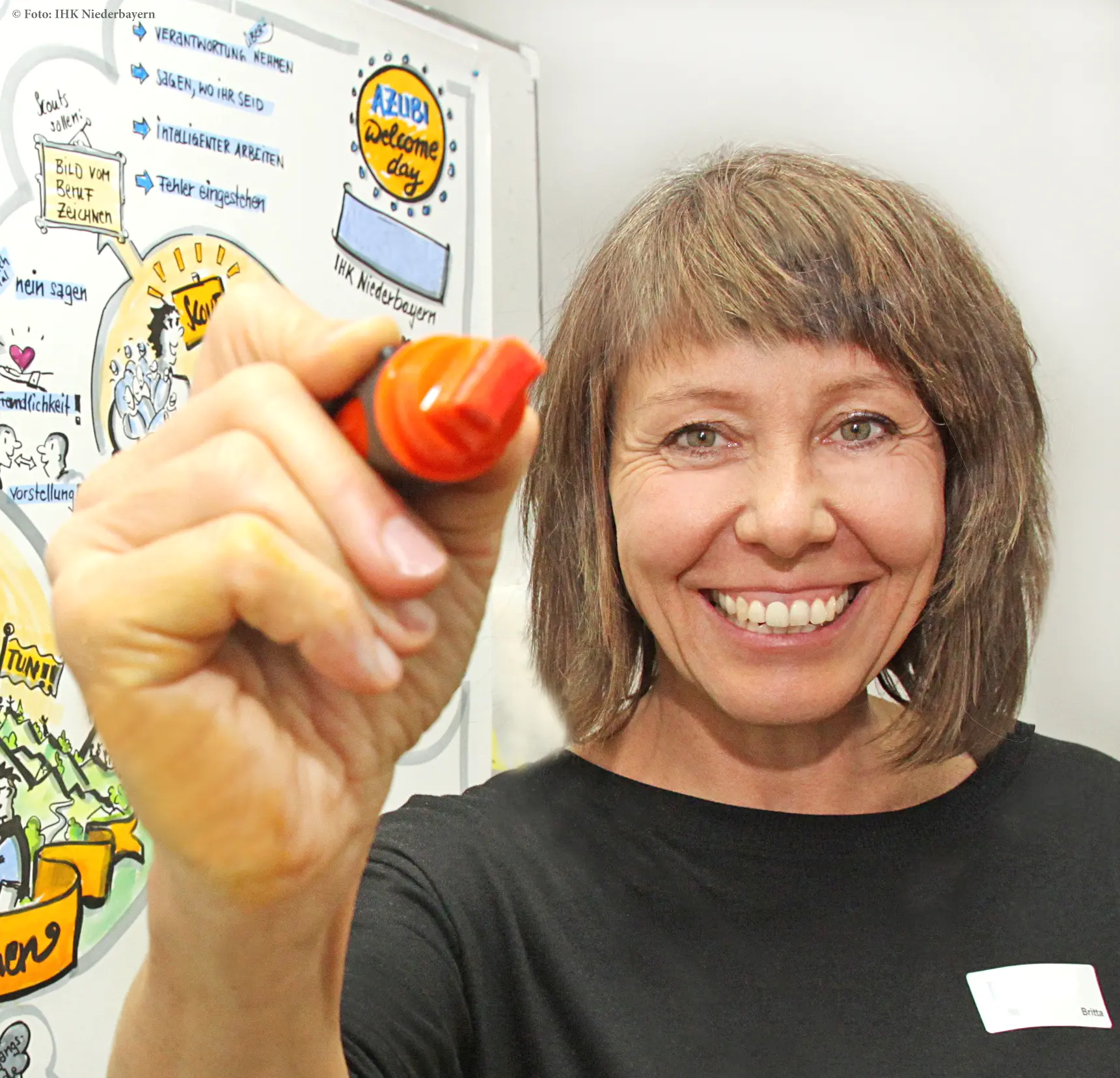 Britta Krondorf, Graphic Recorder