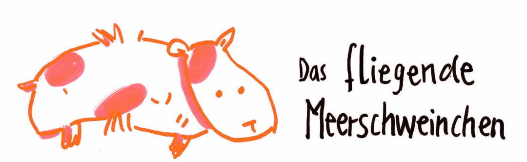 Nur Meerschweinchen fliegen besser- Sketch Noting by Grafische Visualisierung